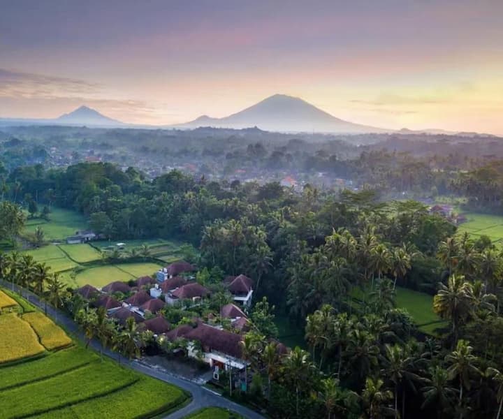 Bali Package - Ubud & Seminyak photo 2