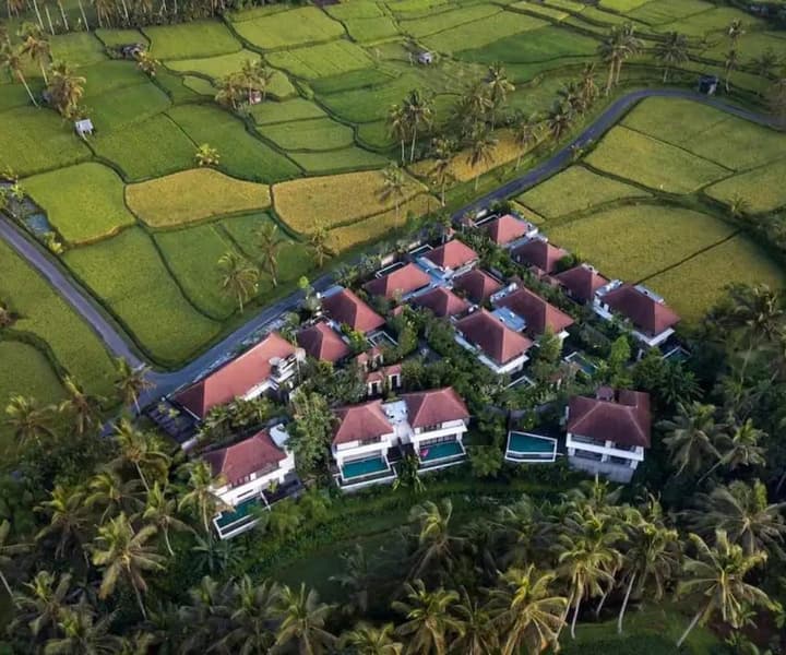 Bali Package - Ubud & Seminyak photo 4