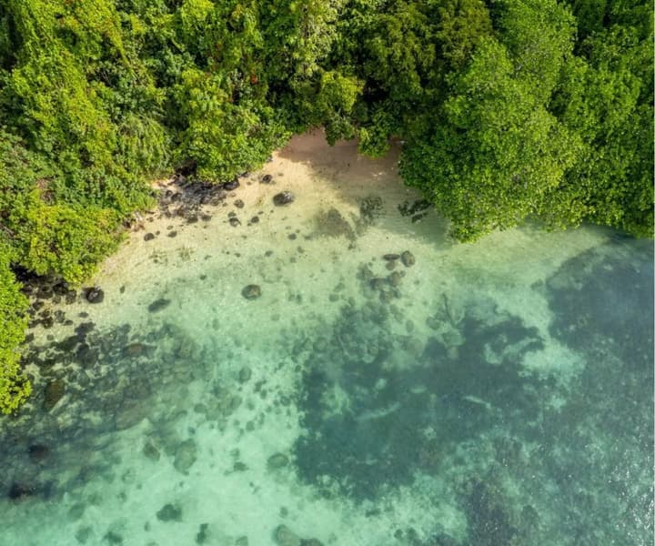 Taveuni Island Resort & Spa photo 3