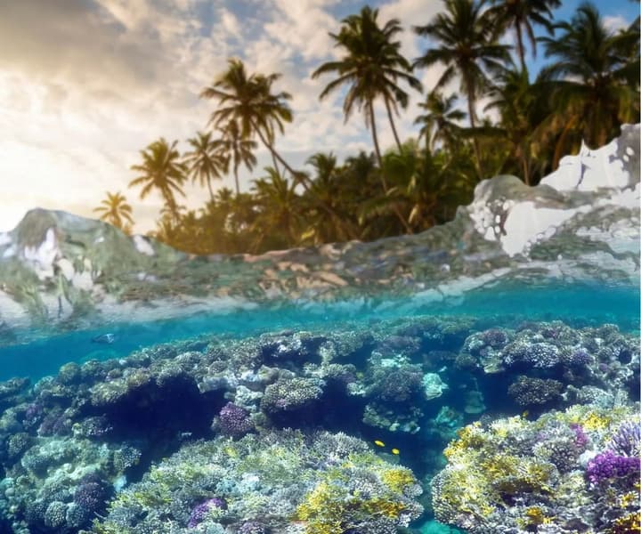 Taveuni Island Resort & Spa photo 4